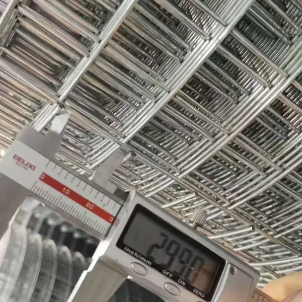 Welded Wire Mesh photo-4