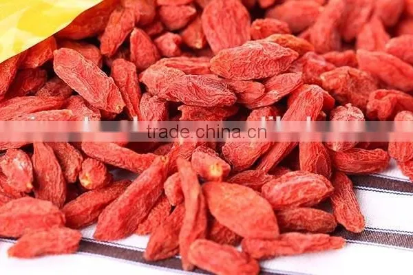 BIO Certified Ningxia Organic Goji Berries Dried Goji Berries Fruits