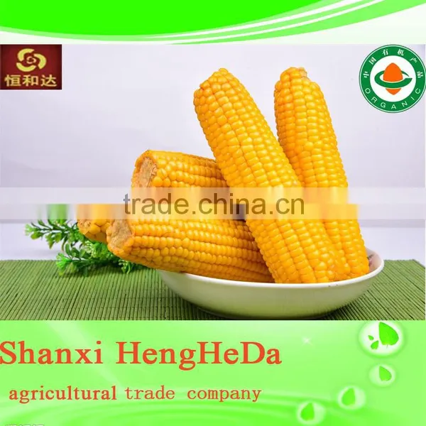 New Style New Products for Teenagers Yellow Corn photo-2