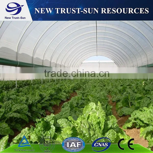 Simple Low Cost Tunnel Polyethylene/PE/PVC Greenhouse