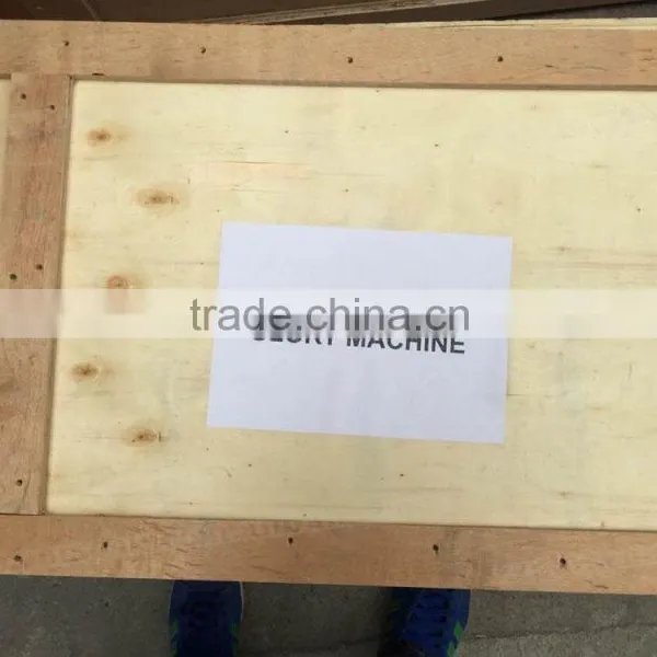 Automatic Flow Pack Popsicle Packaging Machine photo-6