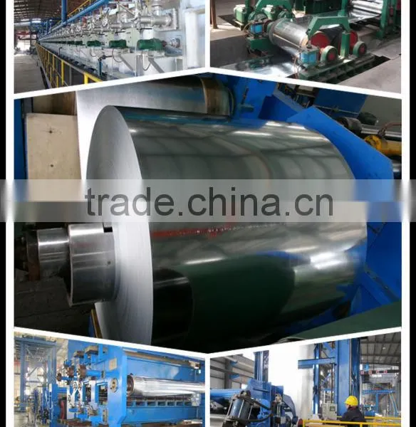 Zinc Coated Steel Sheet in Coil