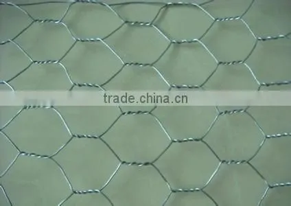 2016 Good Sales!! 24 Hot Galvanized Hexagonal Wire Mesh for Cleaning Stock photo-4