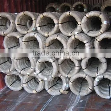 High Quality Electric Galvanized gi Wire photo-5