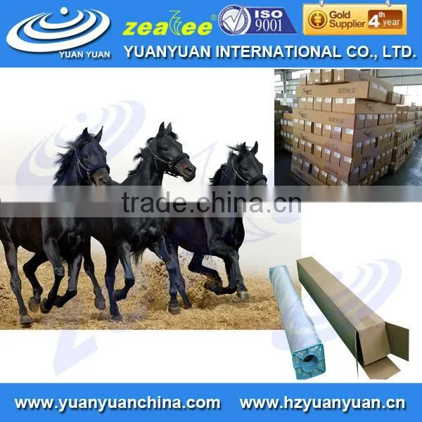 Eco-solvent Soundproof Wallpaper Adhesive for Inkjet Printer