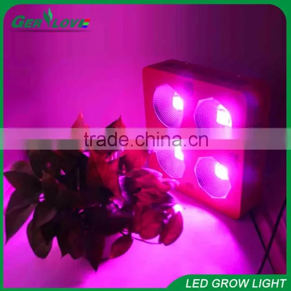 Full Spectrum Cob Led Plant Growth Light 300w 400w 800w Battery Operated Led Plant Indoor Light photo-6