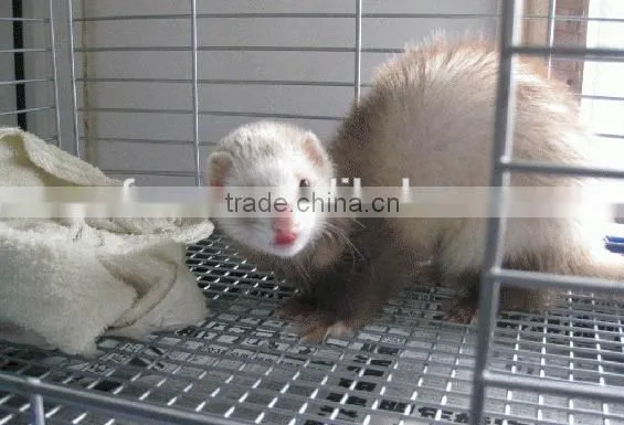 Iron Wire Mesh,galvanized Wire Mesh Panel photo-4