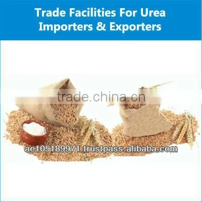 Soft Milling Wheat Grain