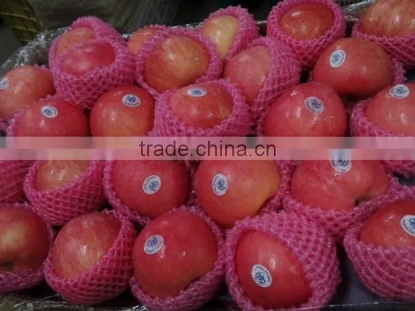 Fresh Fuji Apple photo-3