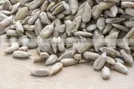 Sunflower Kernels Reasonable Prices Dried Sunflower Seeds Peeled Sunflower Seeds photo-3