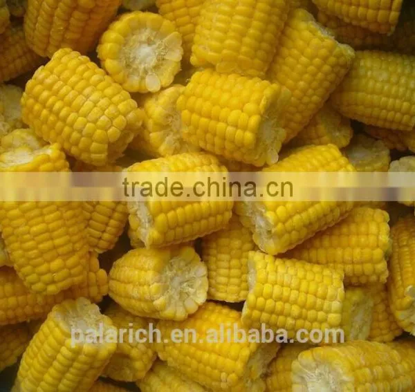 Dried Sweet Corn photo-2