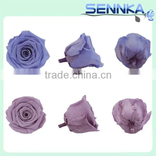 2016 the Best Wholesale Creative Gifts Preserved Fresh Flower Roses photo-6