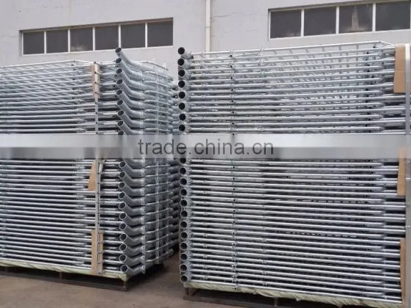 European Tubular Sow Gestation Stalls photo-6