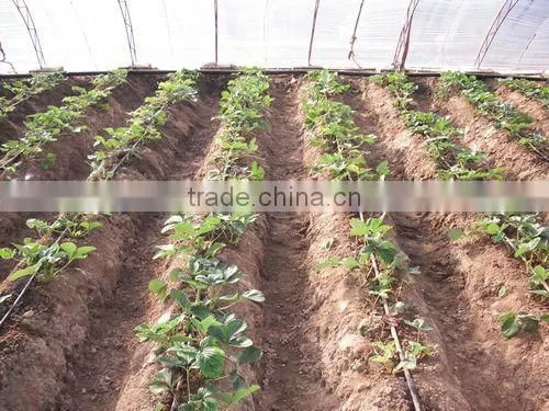 Good Quality 16mm Plastic Drip Irrigation Emitter Pipe for Agriculture photo-3
