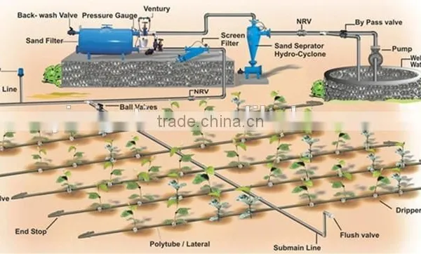CYLR Independent Design Agriculture Drip Irrigation System For Saving Water photo-5