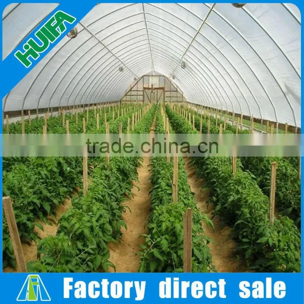 Newly Hydroponic Greenhouse Systems Garden Tunnel Polytunnel Greenhouse photo-4