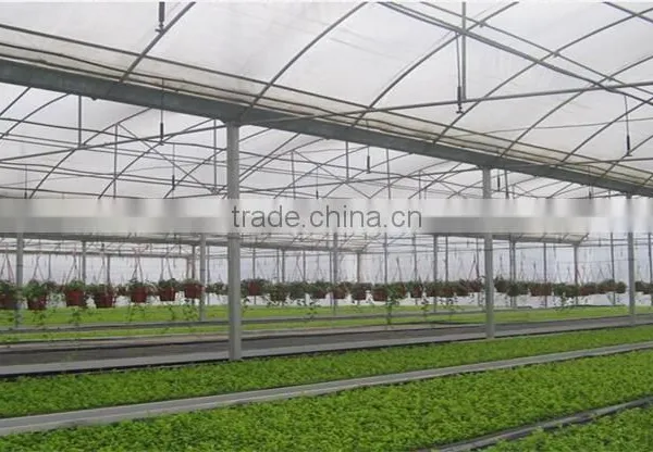 Professional Multi-Span Pvc Covered Greenhouse For Agricultural Planting photo-3