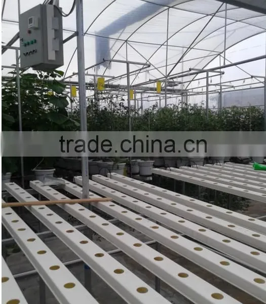 High-tech Greenhouses and Hydroponic Systems photo-2