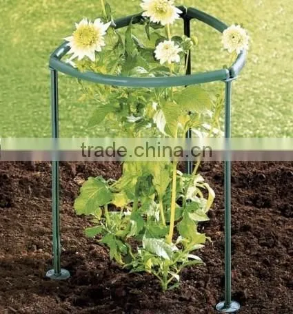 Plants Support 8pc/set,2015 Hot Selling photo-4
