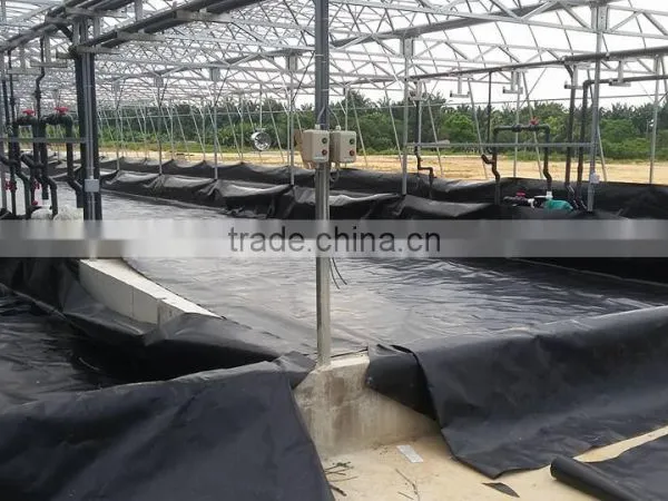 Hdpe Geomembrane photo-2