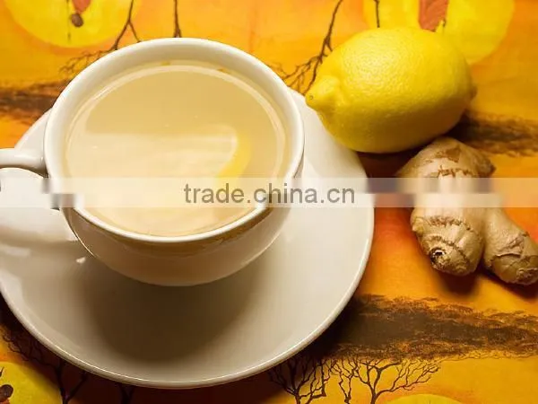 Wholesale Cheap Price Instant Ginger Tea Manufacturer From China Supplier photo-6