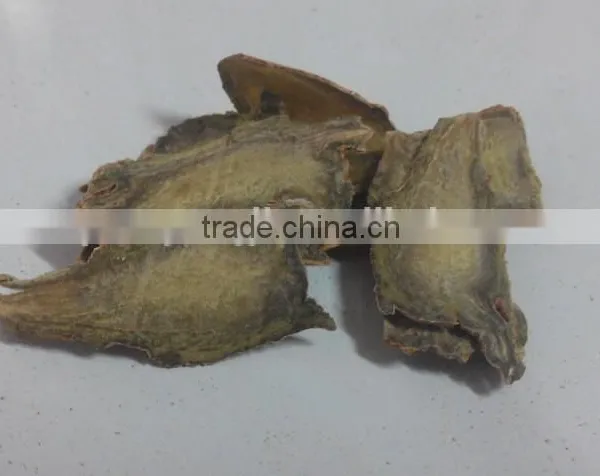 Organic Panax Notoginseng / Pseudo-ginseng /San qi /Sanchi Powder P. E. Herbal Dietary Supplement 3 Years Gro photo-5