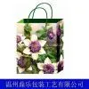 Paper Advertisement Bags