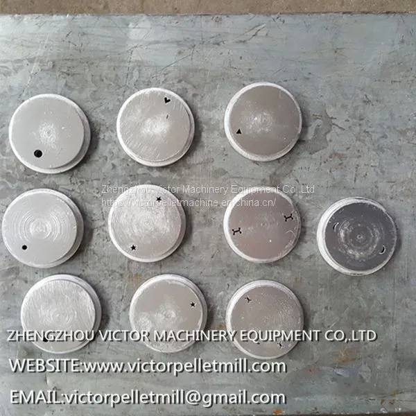 Stainless Steel Pet Food Extruder Cost for Kinds of Pets Feeding photo-3