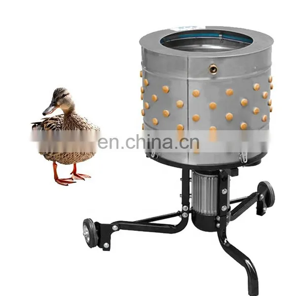 Chicken Feather Cleaning Machine photo-3