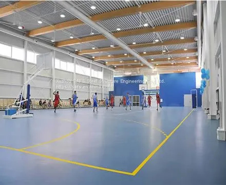 Portal Steel Structure Indoor Gymnasium photo-3