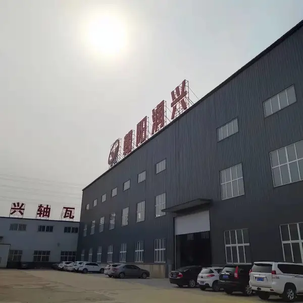 Chaoyang Runxing Heavy Machinery Manufacturing Co.,Ltd. company overview - view 1