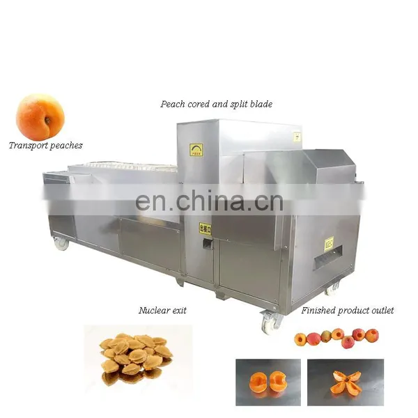 Runxiang Hot Selling Cheap Oli Olive Longan Lychee Apple Date Pitter photo-5