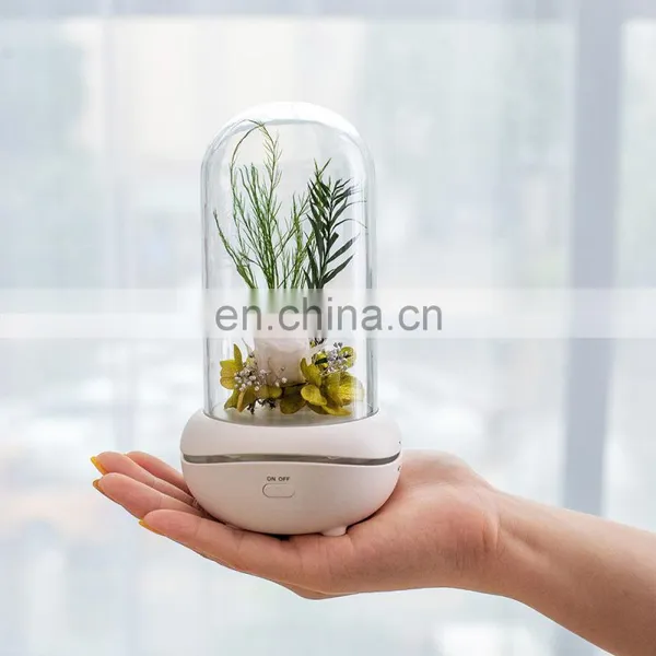 Amazon Hot Selling Aroma Lamp Wireless Comfortable Night Accompany Night Light photo-4