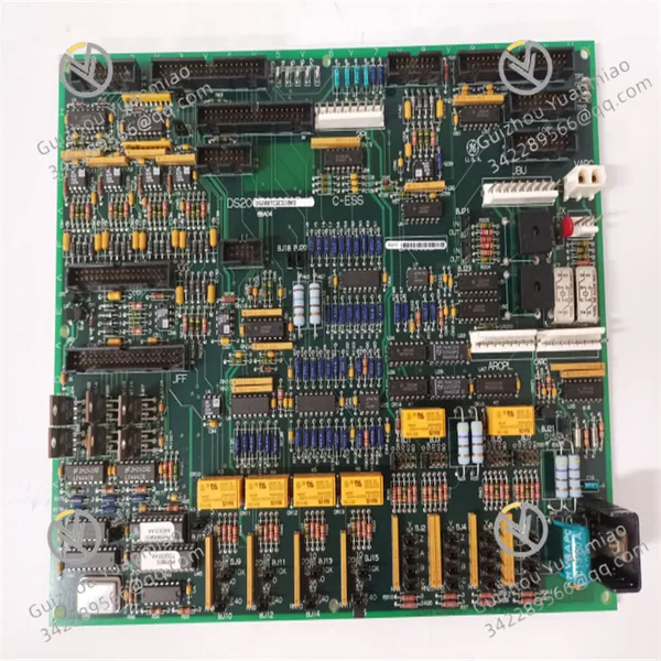 DS200TCQCG1BKG Industrial Control Module