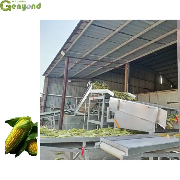Industrial Automatic Customized Fresh Corn Processing Production Line photo-6
