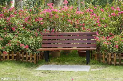Garden Chair