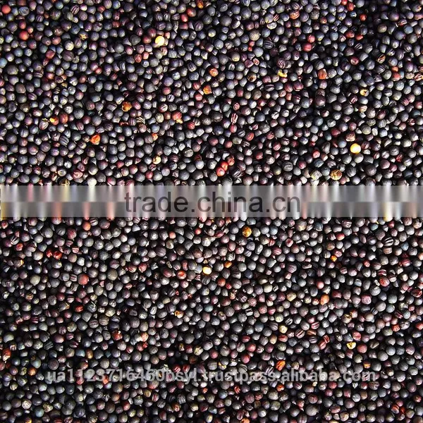 RAPESEEDS