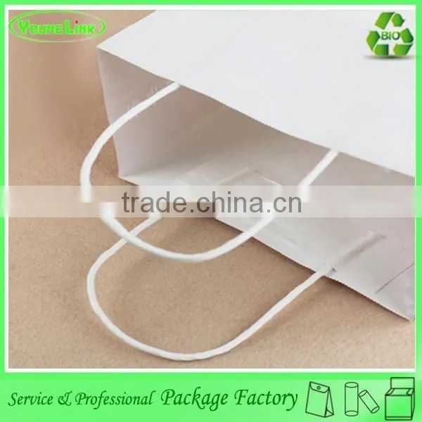 10 Years Factory Custom Printing Paper Bag for Mobie Phone photo-3