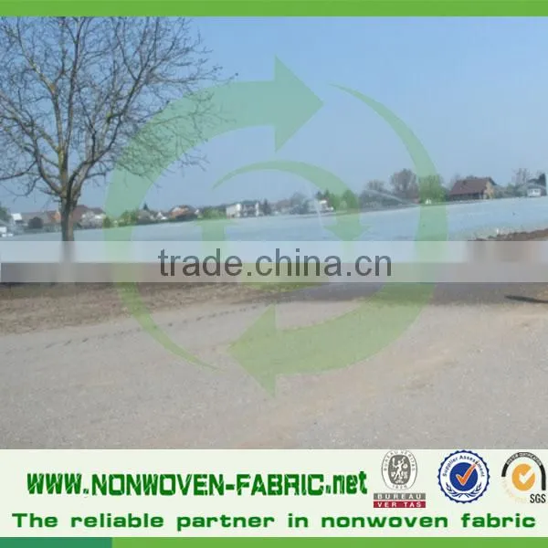 Fruit Protection Nonwoven Fabric Bag/agriculture pp Non Wovens Spunbond /Crop Covers Material Cloth/weed Mat photo-4