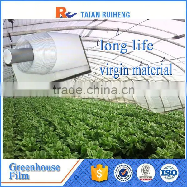 Long-life White Greenhouse Plastic Film photo-3
