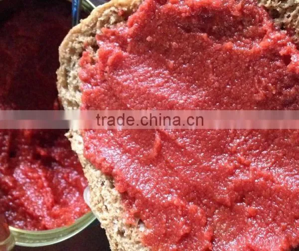 70g~3000g Canned Tomato Paste 28%~30% Tomato Sauce, Ketchup. photo-6