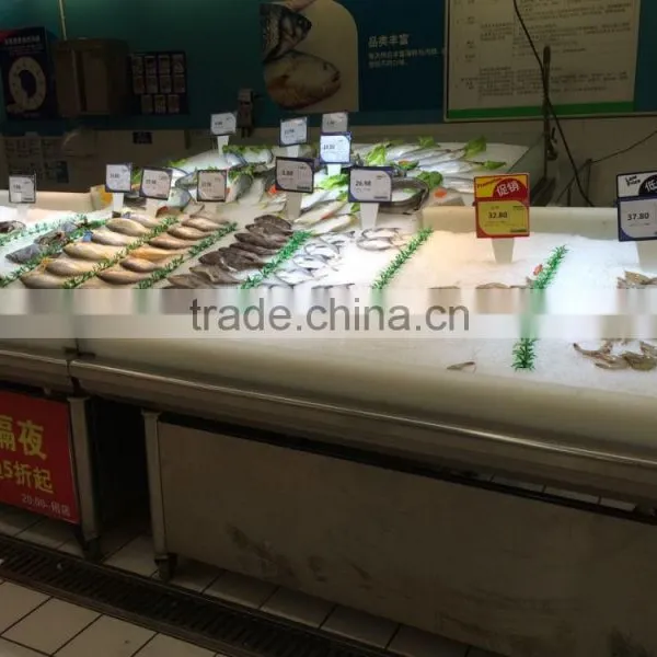 Commercial Fashionable Ice Making Machine for Fish Preservation
