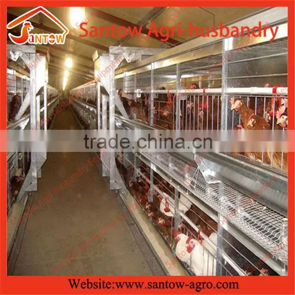 Stable Steel Structure Professional Chicken Egg Layer Cage Chicken Poultry Equipment photo-3
