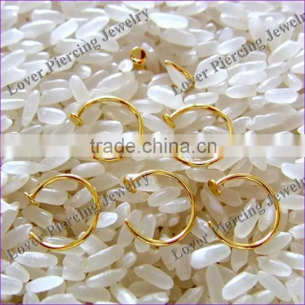Titanium Anodized Nose Ring [AP-361]
