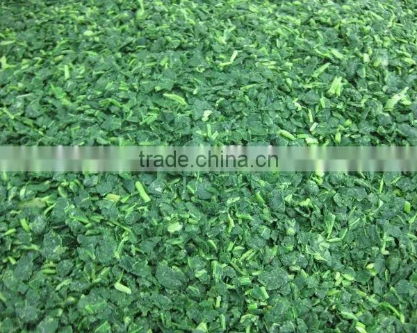 We Are Supply Good Quality IQF Frozen Spinach Cut BQF photo-5