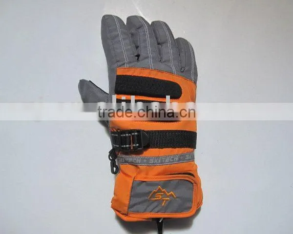 Ski Gloves