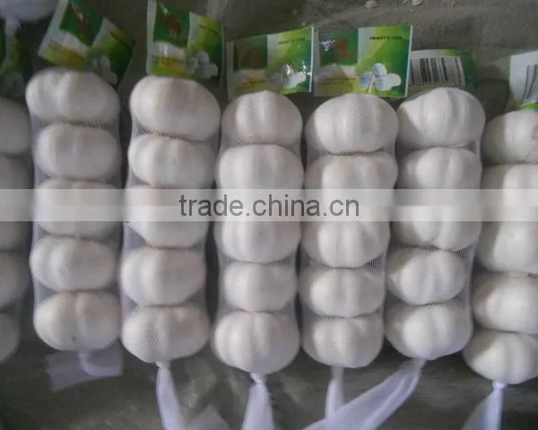 2013 Crop Natural Garlic ,good Quality New Garlic photo-2