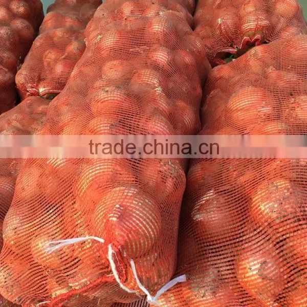 Fresh Onion Packing in Mesh Bag for Onion Importer From Dubai photo-4