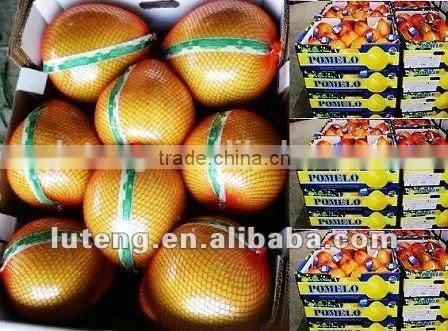 Chinese Fresh Pomelo Honey Pomelo Juicy Pomelo for Sale photo-3