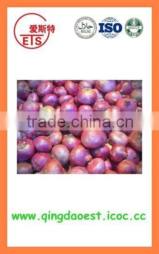 Fresh Red Onion FOR SALE photo-2
